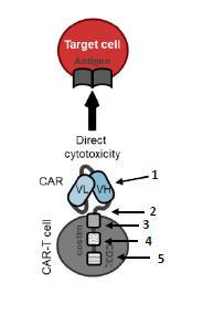 Small Molecules